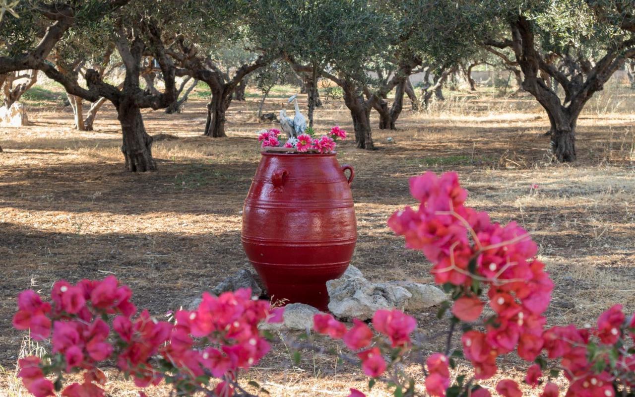 Xirouchakis Farm Apartment Kissamos Bagian luar foto